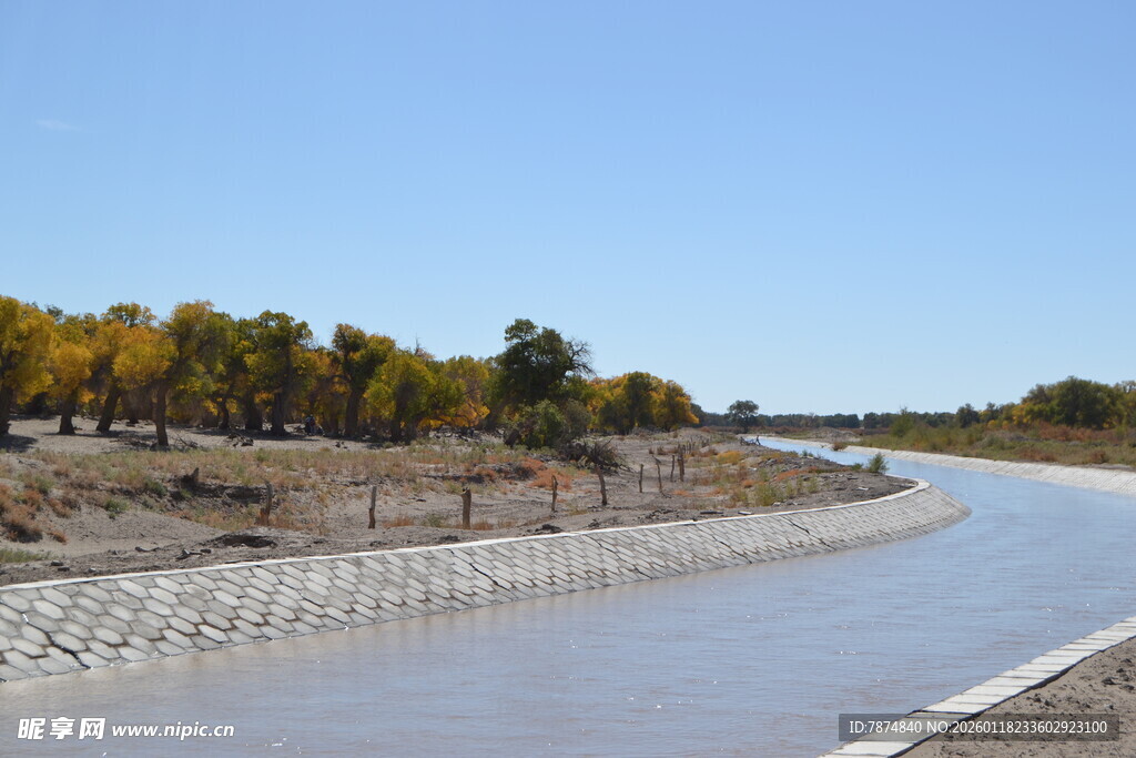 蜿蜒河道旁的秋日景致