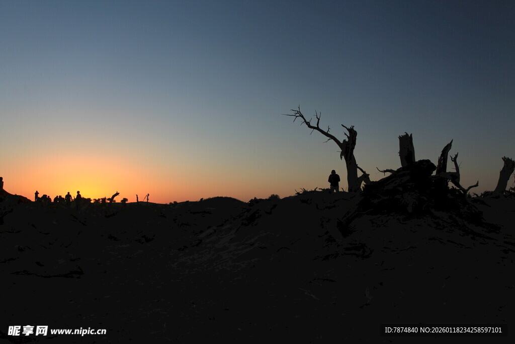 沙漠日落枯树景观