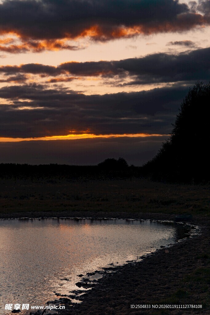 夕阳下的静谧水边景致