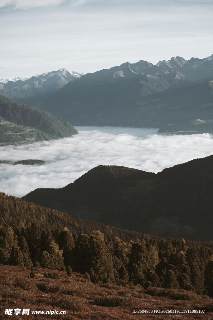 山间云海壮丽景观