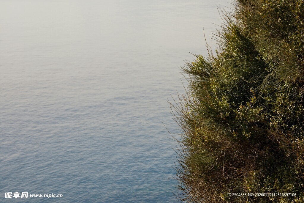 海边崖畔绿植与静谧海水