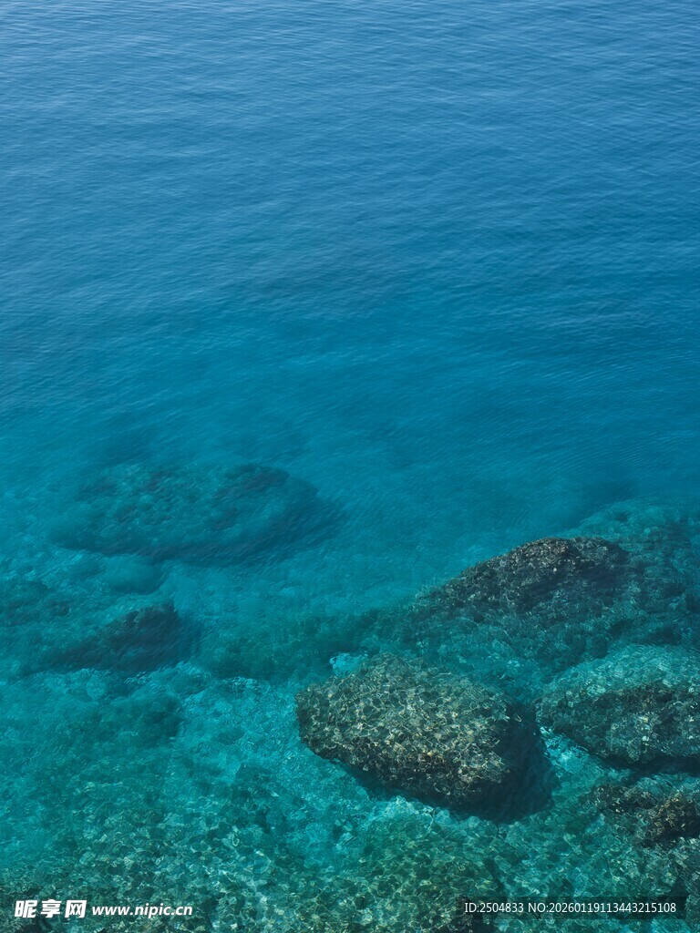 清澈海底的美丽礁石