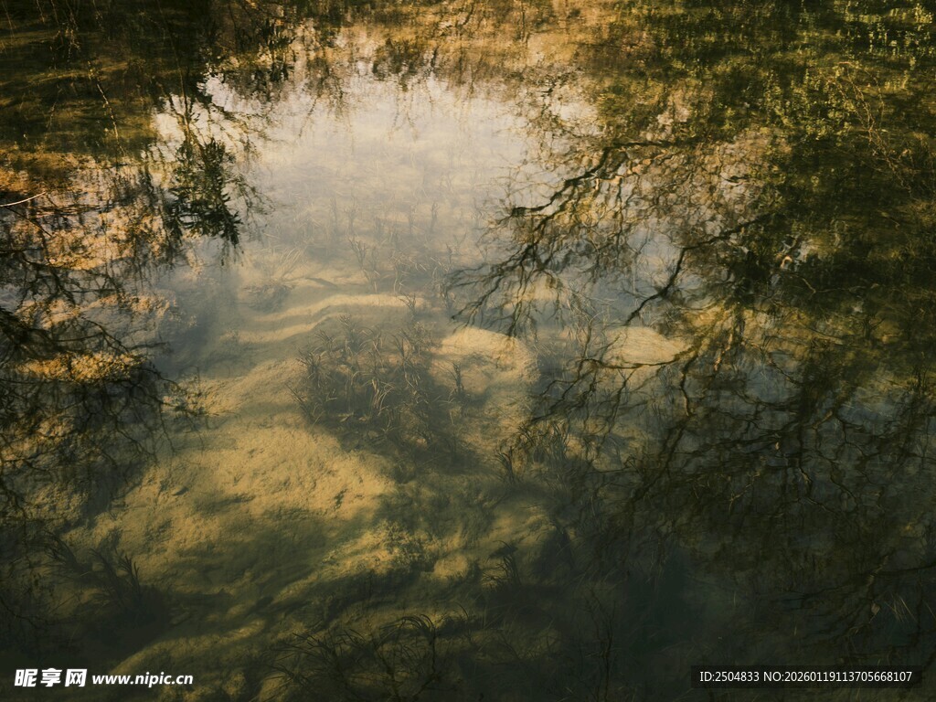 清澈水底的光影与石块