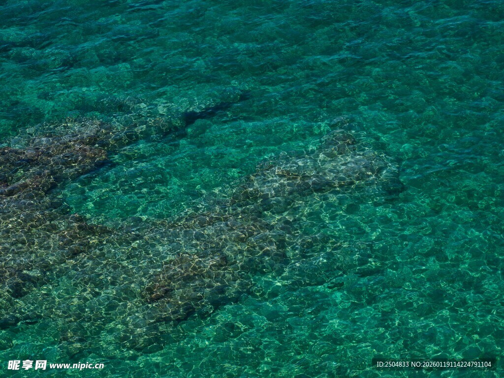 清澈海水中的珊瑚礁