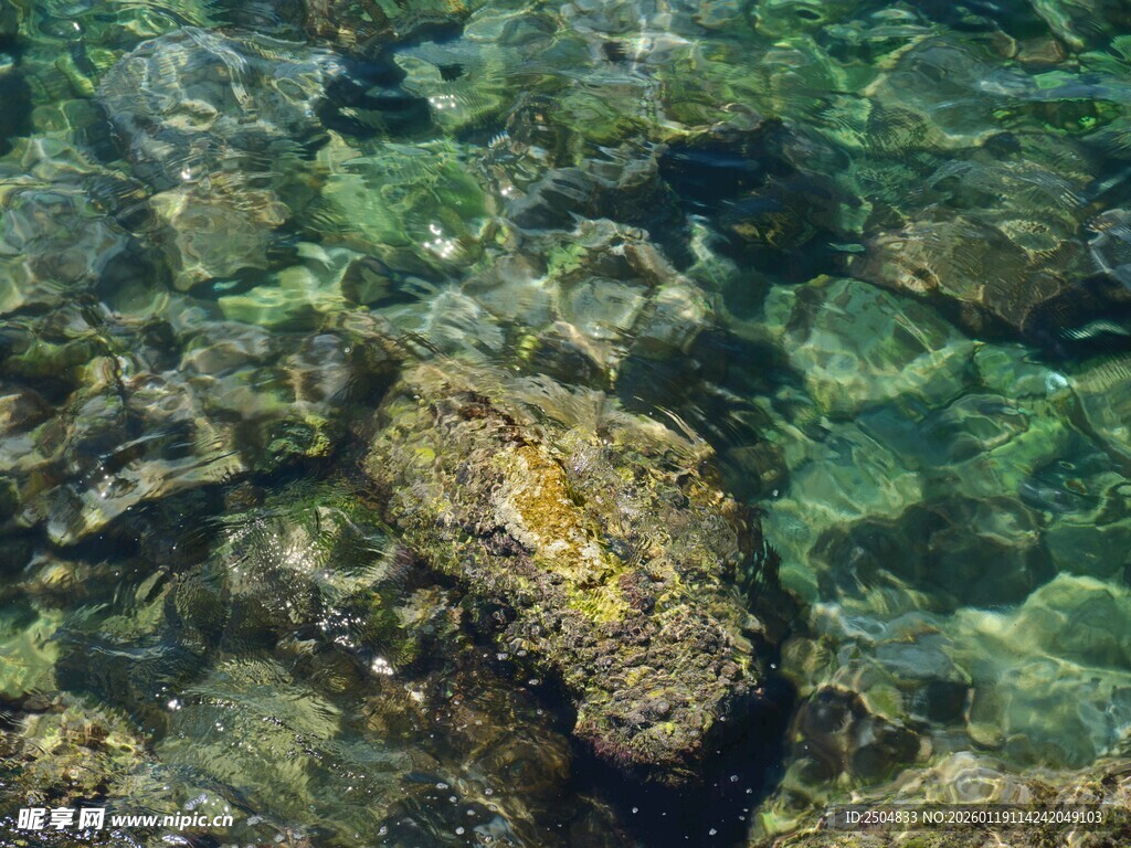 清澈水底的斑斓礁石