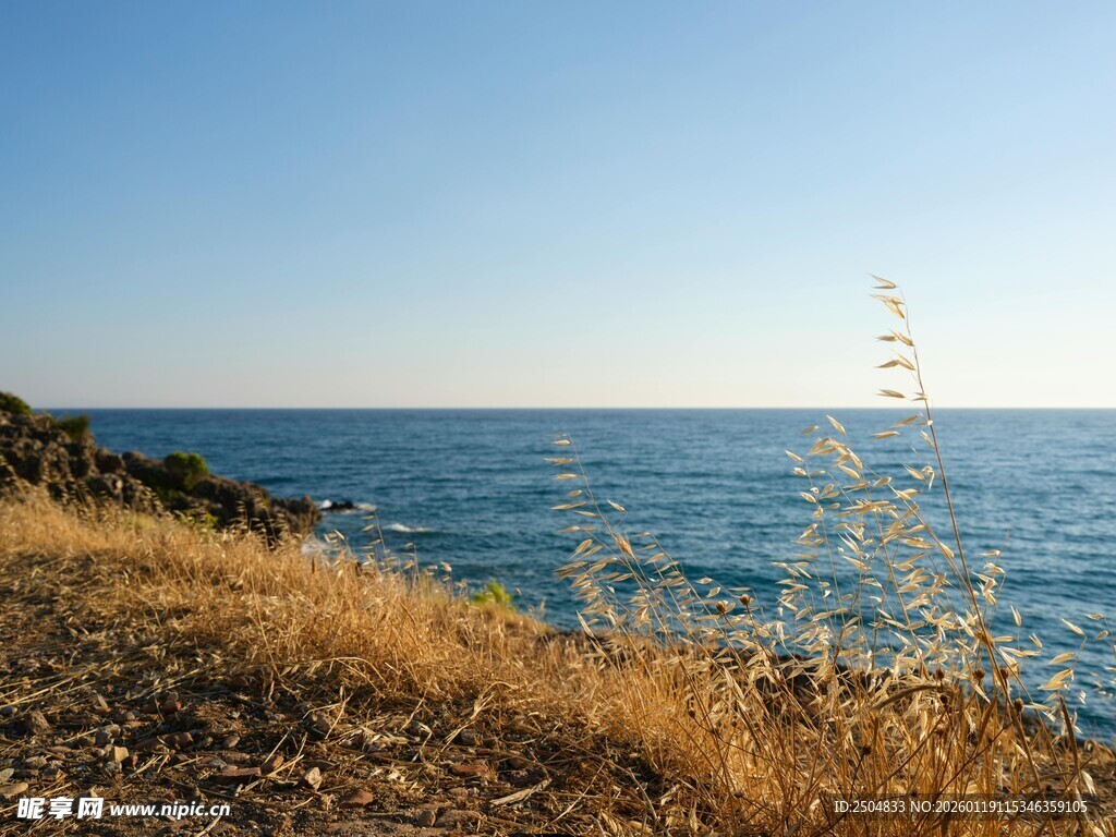 海边岸畔 野草与碧海蓝天