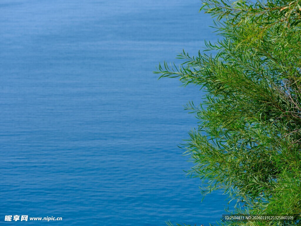 湖畔绿树映蓝水