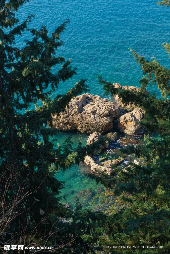 海边林间的美丽景致