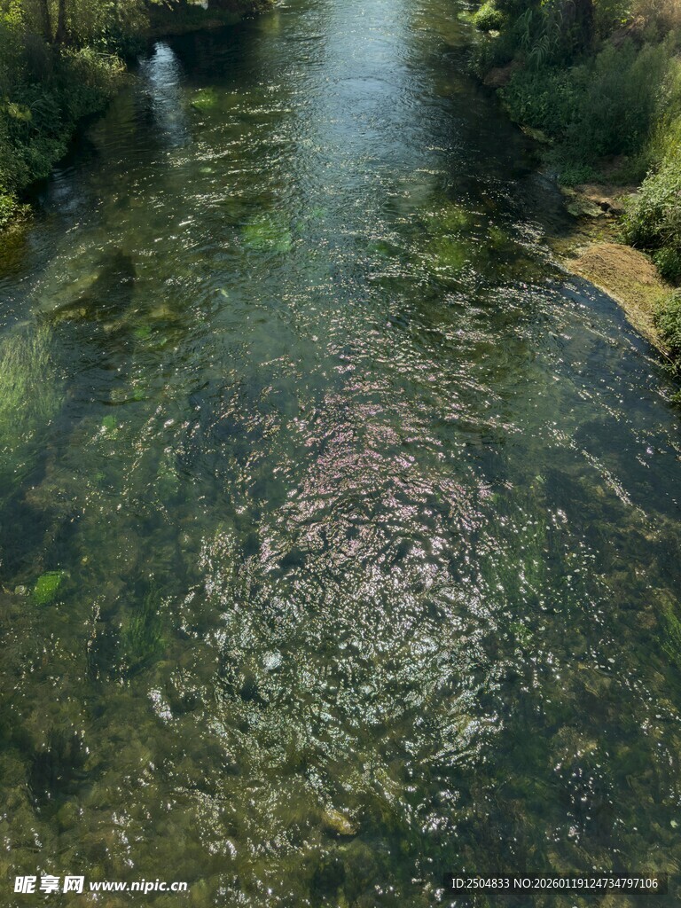 清澈溪流 水底景致如画