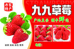九九草莓