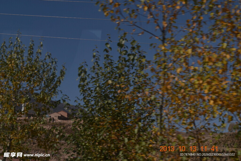 秋日树梢 蓝天背景下美景