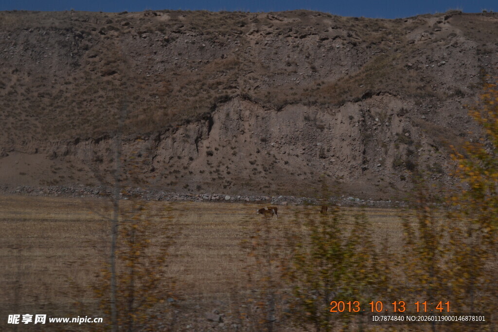 秋日山景中的稀疏树木