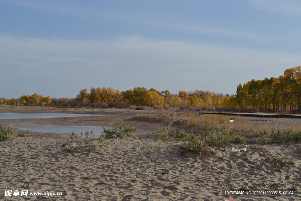 秋日荒野河畔风景