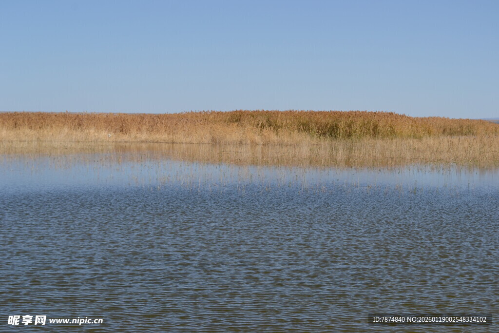 宁静水域与岸边草地景观