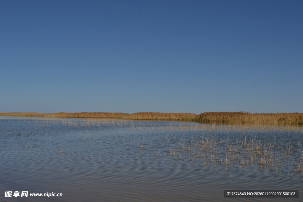 宁静水域与远处地平线