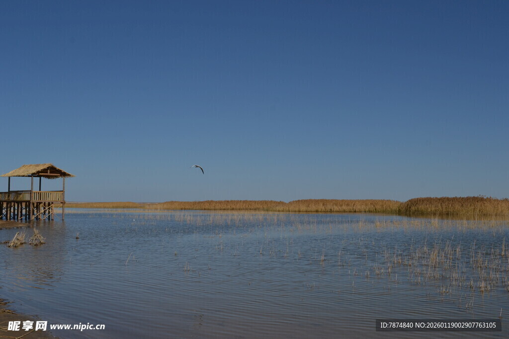 湖畔凉亭 静谧自然风光
