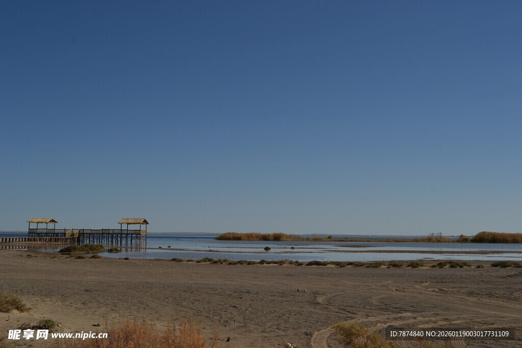 广阔荒漠旁的平静水域