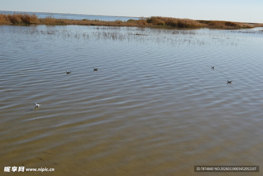 宁静水域 微波荡漾