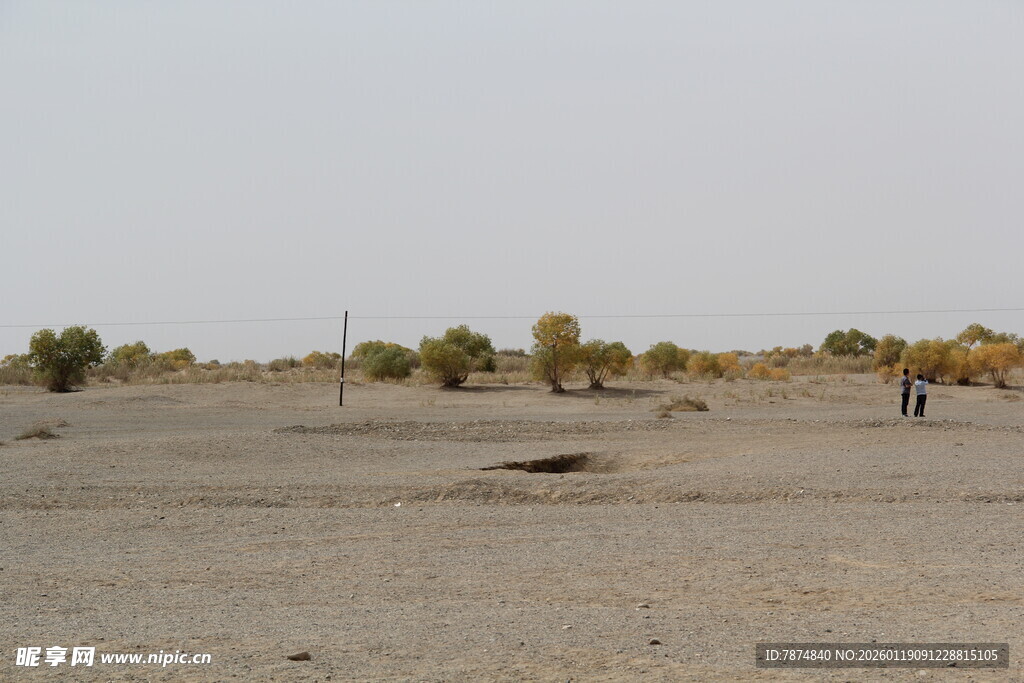 广袤沙漠中的稀疏植被