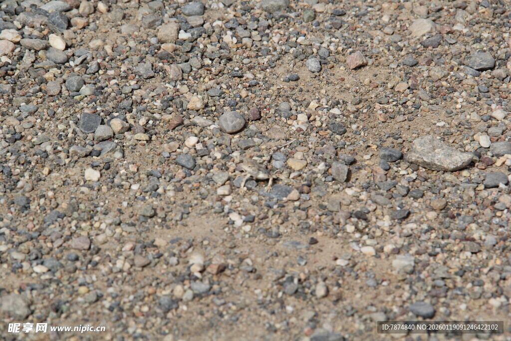 粗糙沙石地面特写