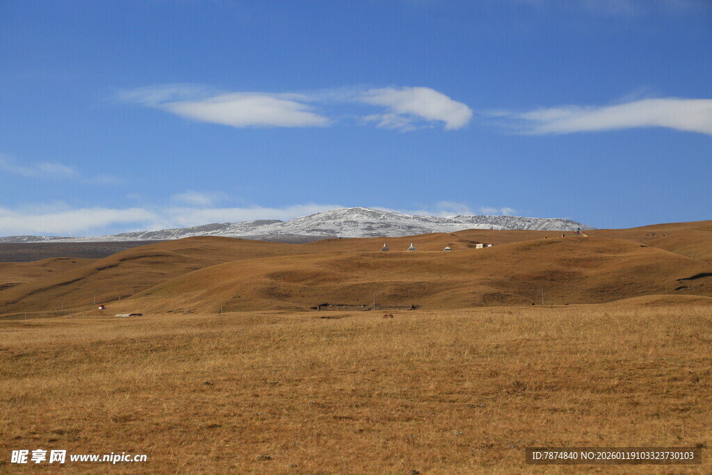 广袤原野与远处雪山景观