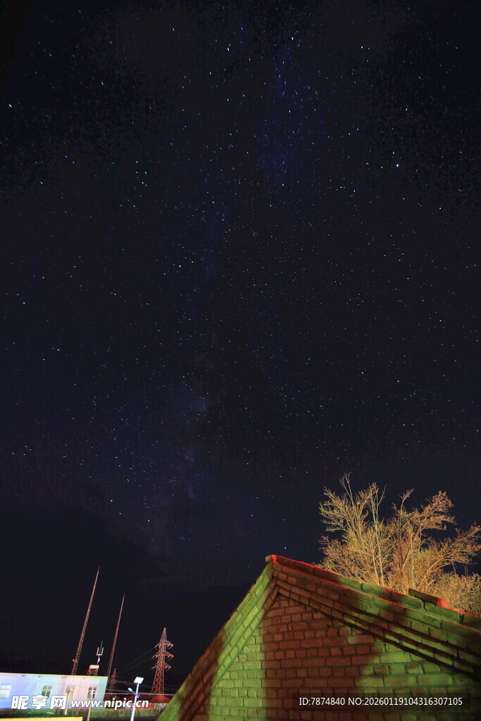 夜空下的建筑与树木