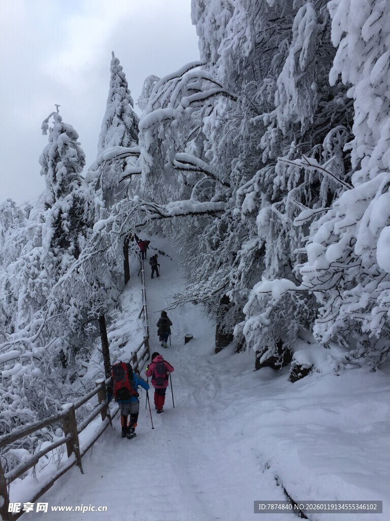 雪覆山林中的徒步者