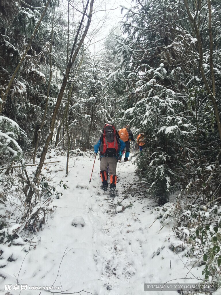 雪地徒步者穿行林间小道