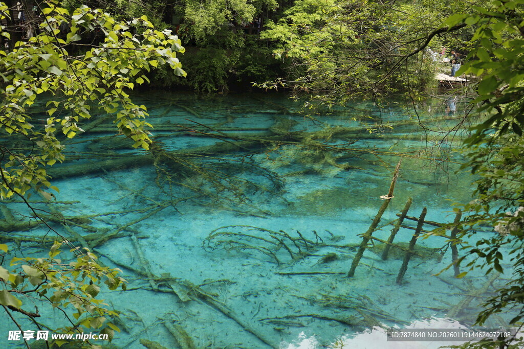 清澈蓝绿潭水中的木梯