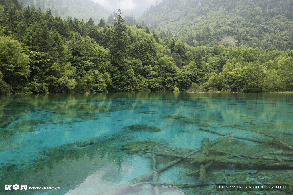 梦幻蓝绿湖水 森林环绕