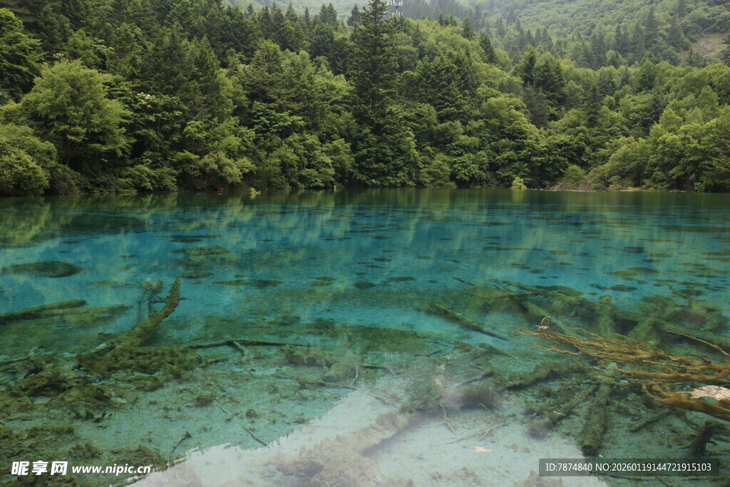 九寨沟清澈碧绿的湖水