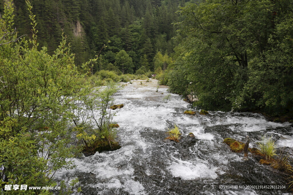 山间湍急溪流穿林而过