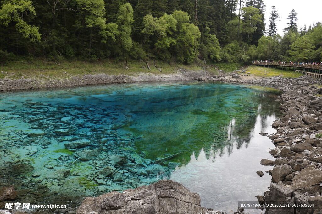 清澈蓝绿色水域与周边树林