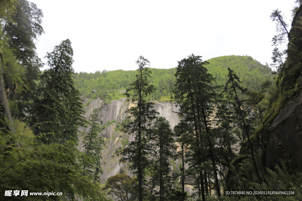 山林峭壁间的葱郁景致