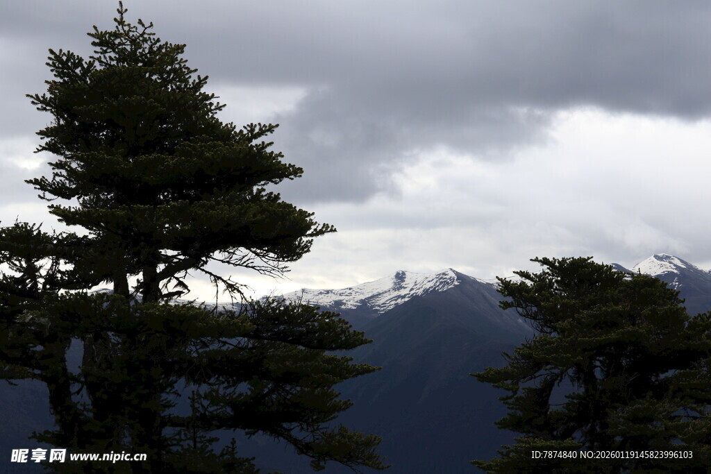 云雾中的山林与远山