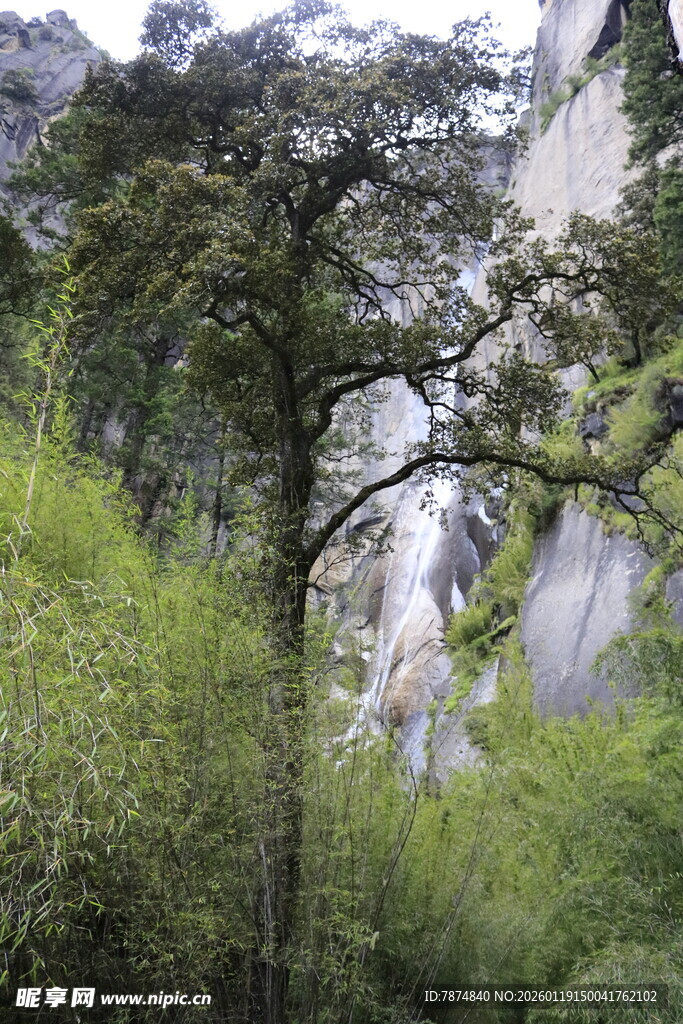 山林间繁茂植被与峭壁