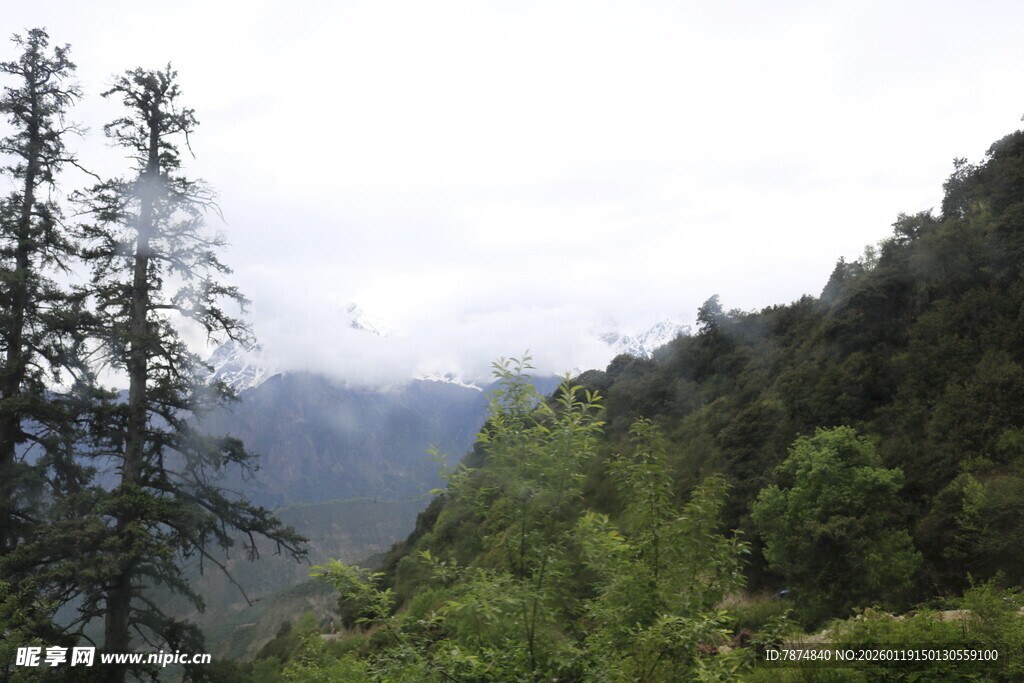 山林景致 绿意盎然的自然