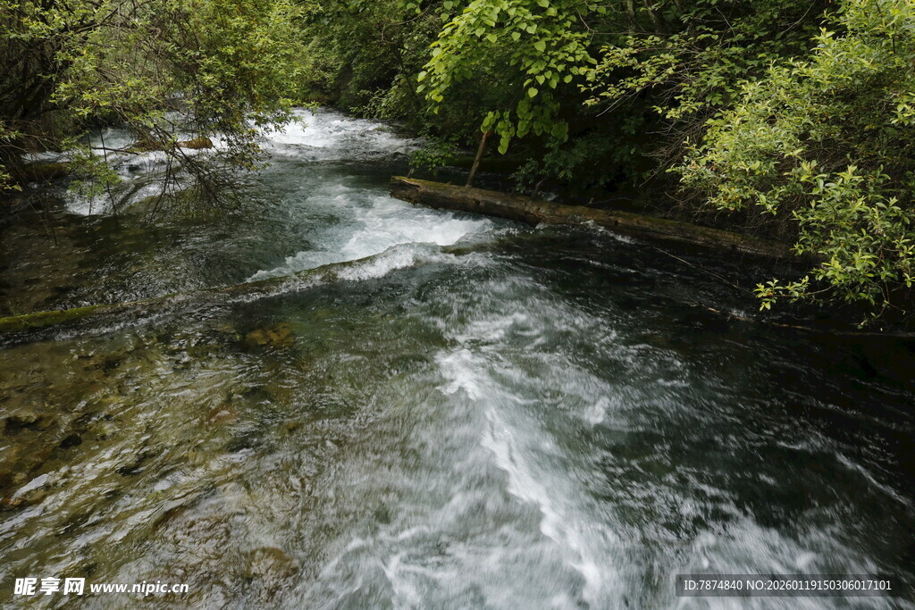 山间溪流潺潺 绿意环绕
