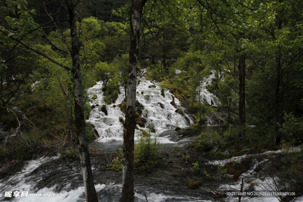 山林间的潺潺溪流瀑布
