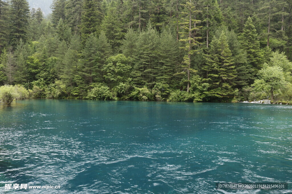 蓝绿色湖泊与周围茂密树林