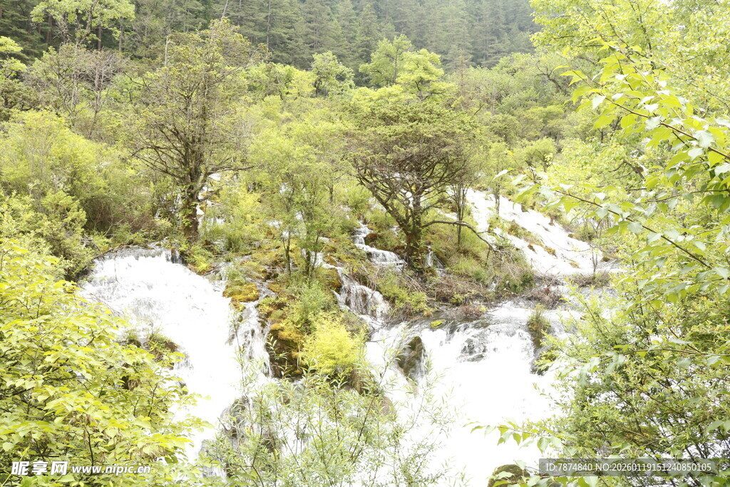 山林间的潺潺溪流