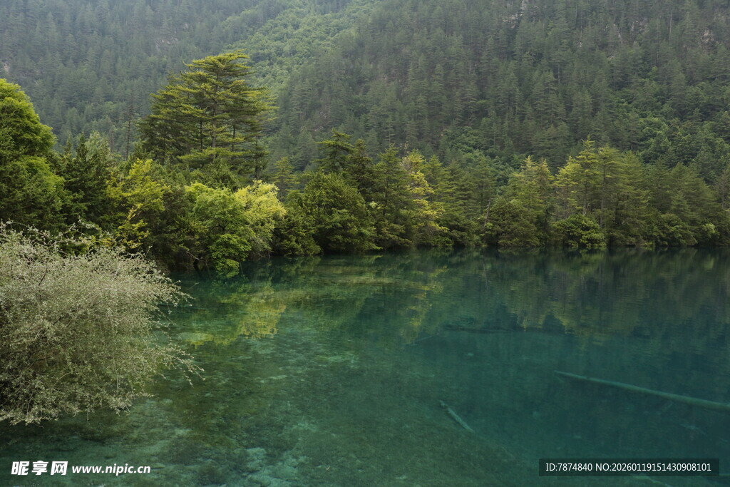 九寨沟清澈碧绿的湖水
