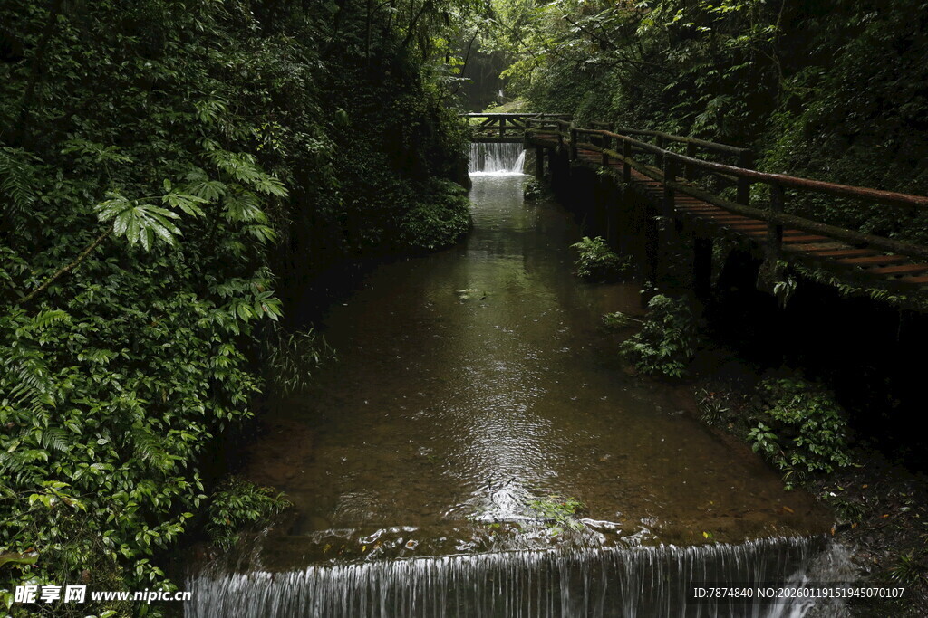 山间溪流旁的木质栈道
