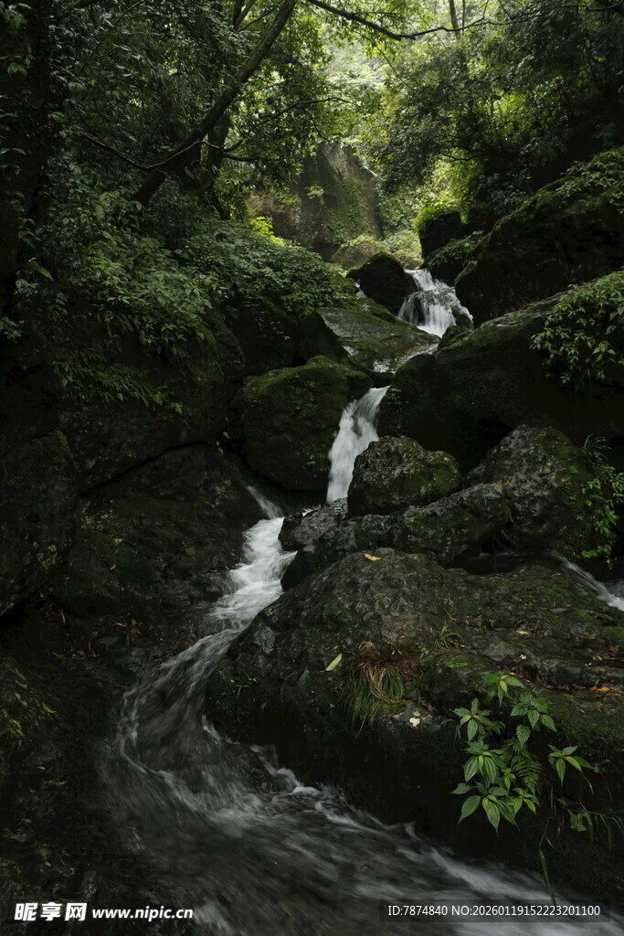 山林间的潺潺溪流