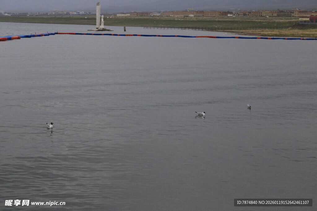 平静水面上的飞鸟与帆船