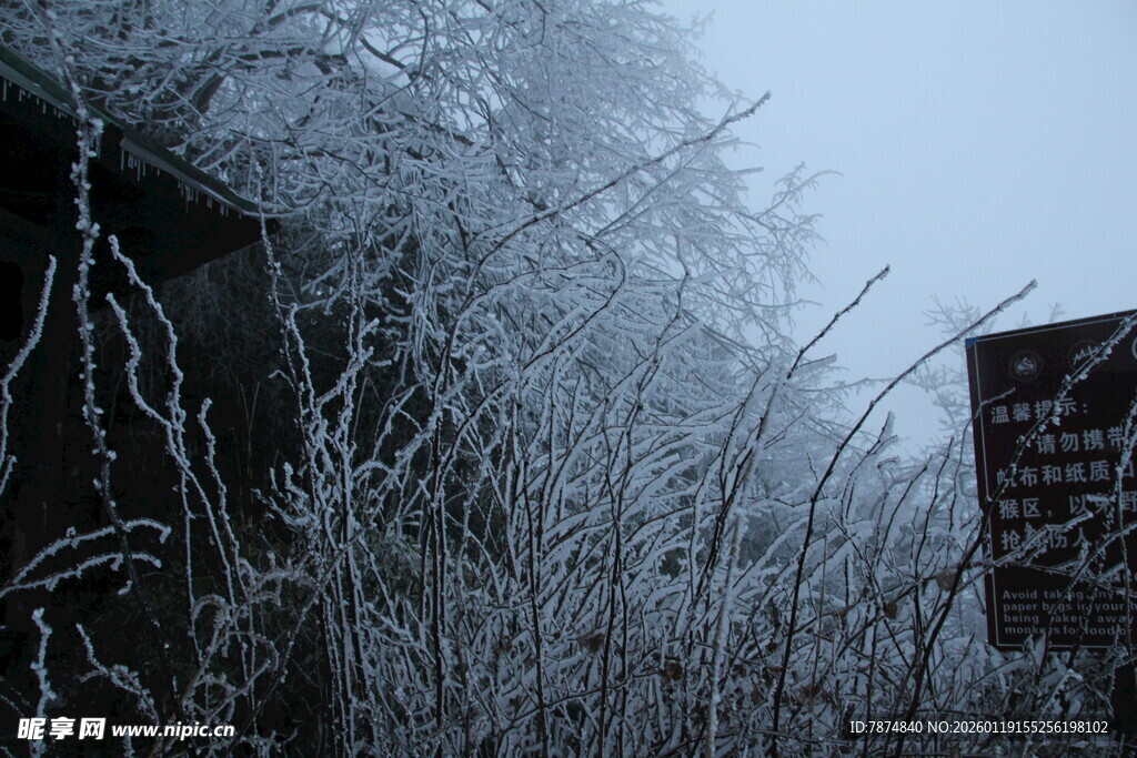 冬日覆霜植物与标识牌