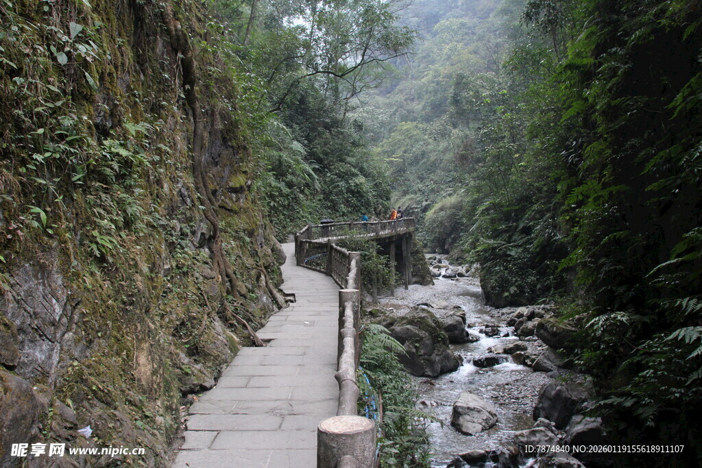山间小径伴潺潺溪流