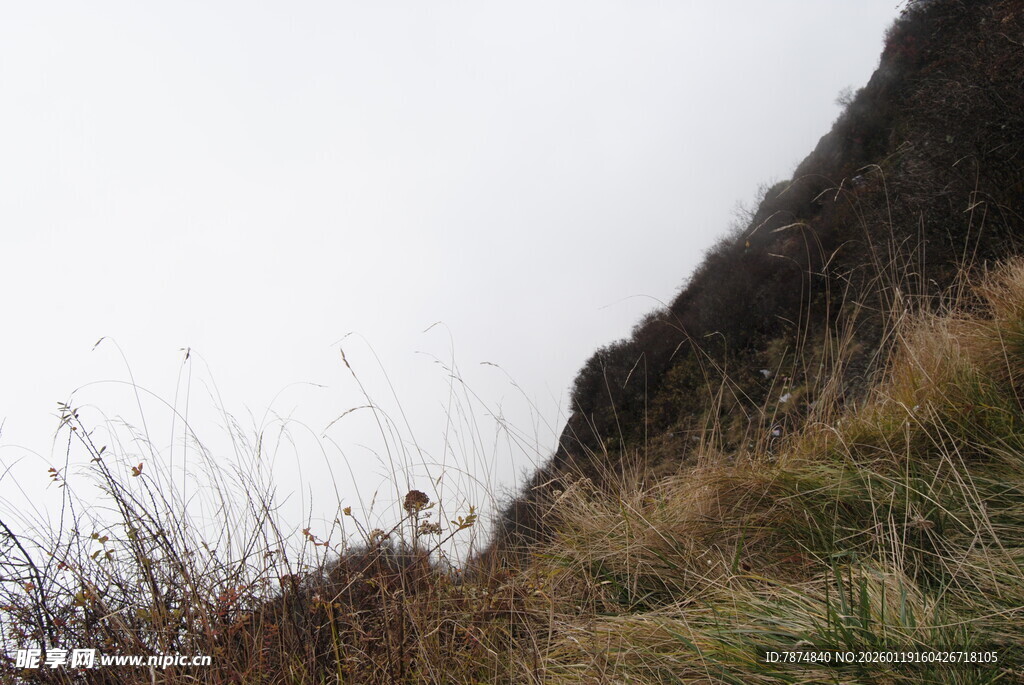 山坡上的野草与朦胧天空