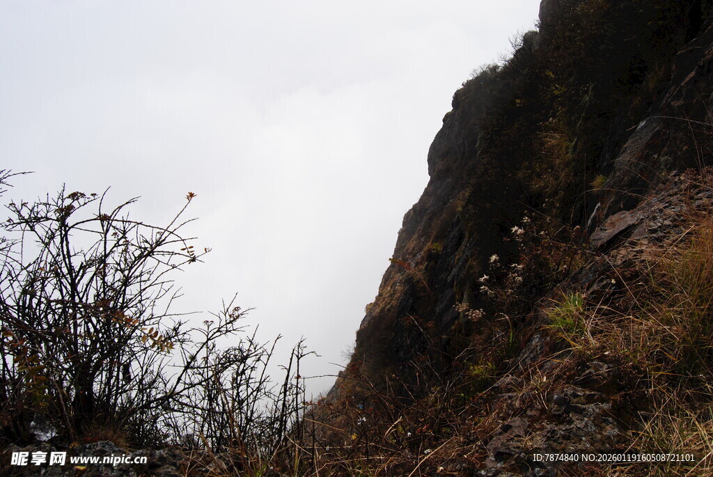 山间峭壁旁的稀疏植被