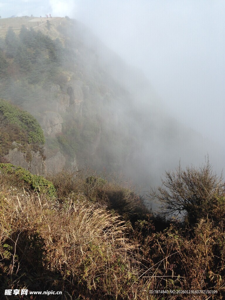 山间迷雾中的枯黄植被
